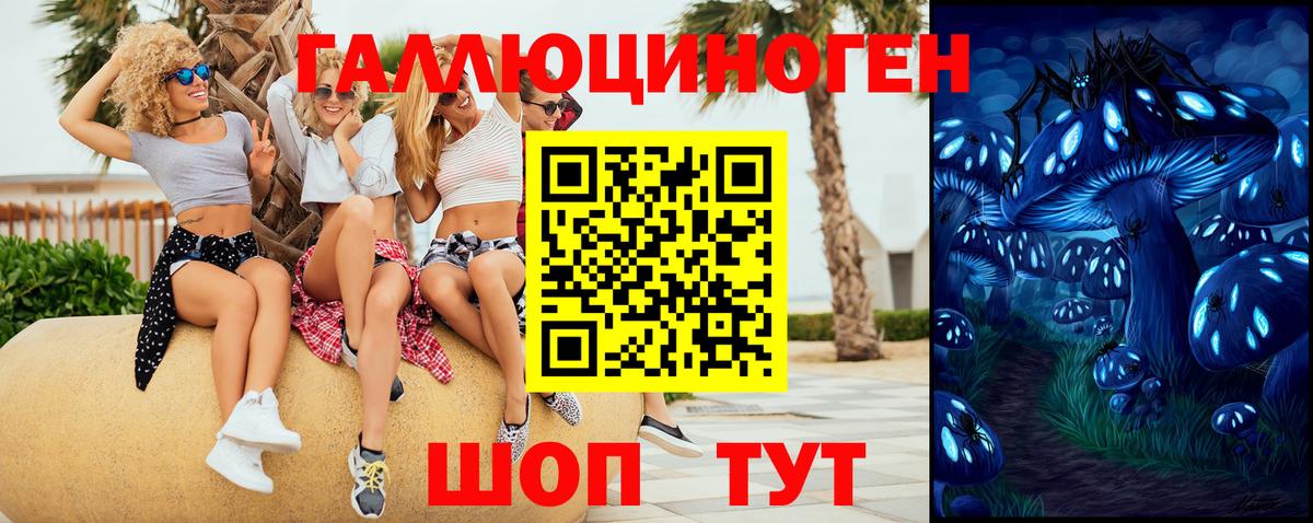 Псилоцибиновые грибы GOLDEN TEACHER  Галлюциногенные грибы GOLDEN TEACHER  Вход с VPN  Чебаркуль 
